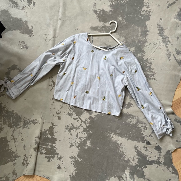 Zara Tops 59 Zara Cotton Fruit Embroidered Cropped Blouse Blue